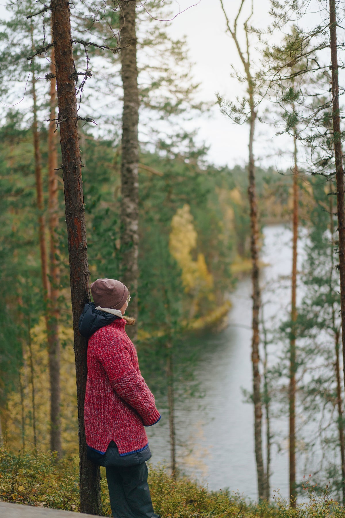 Autumn light through birch trees in Finland — adjusting a skincare routine for fall after 50 during menopause, without starting over