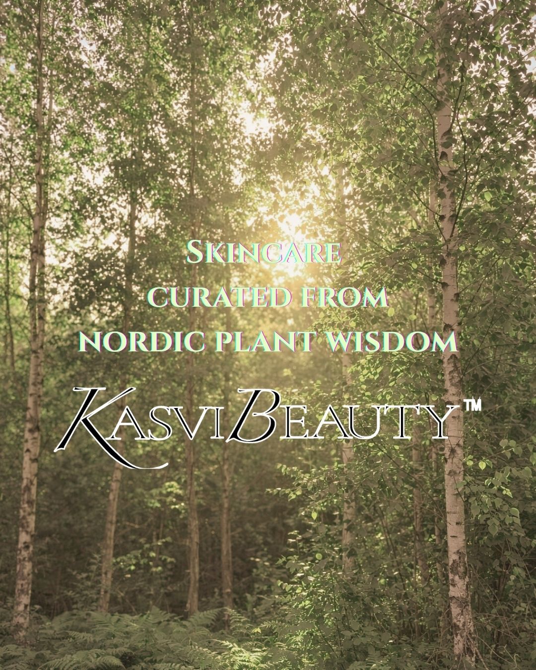 birch trees with bright sun shining through text on screen 'Skincare Curated from Nordic Plant Wisdom' and word mark "Kasvi Beauty"